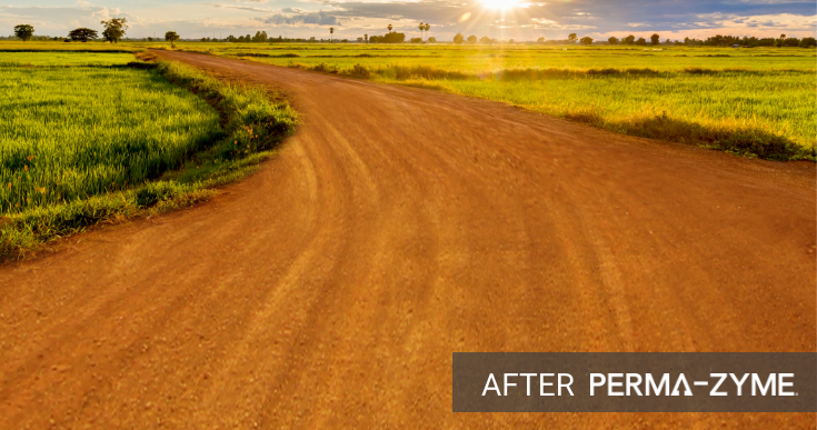 Smooth, stable unpaved dirt road after Perma-Zyme treatment