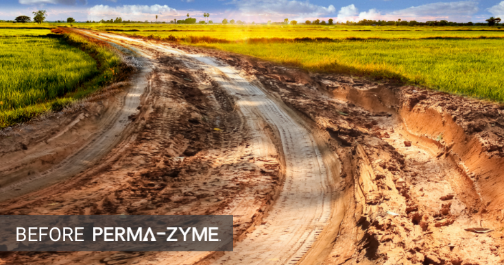 Muddy, unpaved dirt road before Perma-Zyme treatment