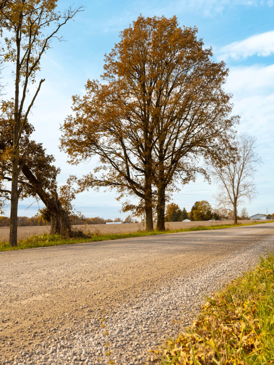 Carpenter-Rd-Montrose-MI_Featured-Roads_1