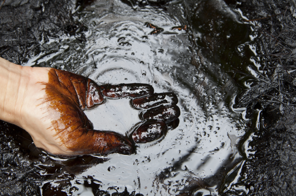 Case-Study---Petroleum-Remediation