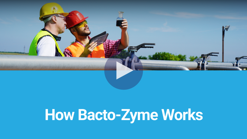 How Bacto-Zyme Works