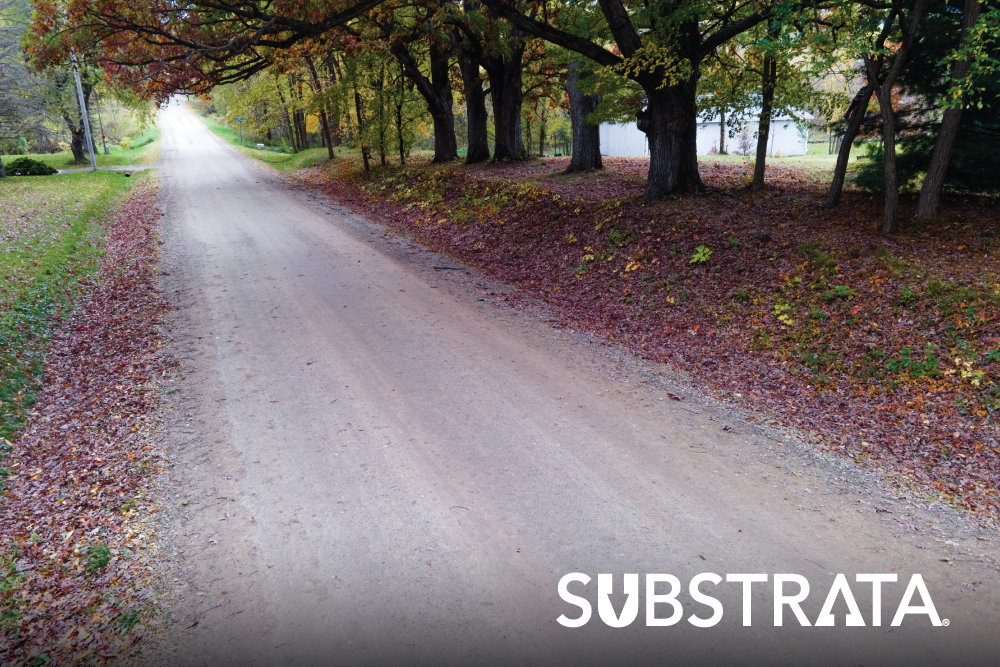 Walker Road's Perma-Zyme treated surface on a gloomy day in Michigan