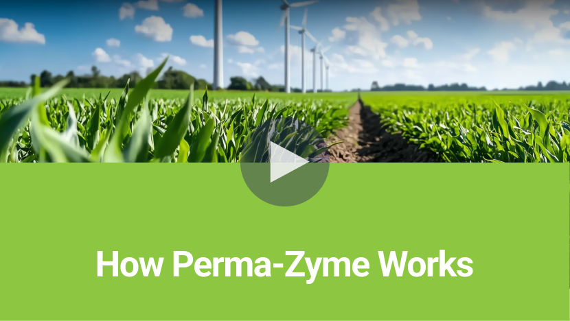 How Perma-Zyme Works