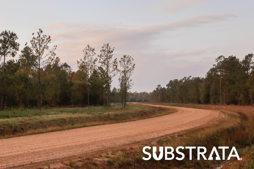 Unpaved county road treated with Perma-Zyme