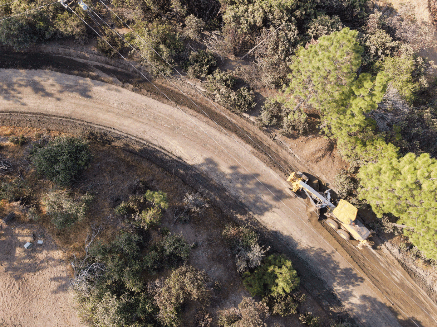 Overhead view of Mariposa road treated with Perma-Zyme