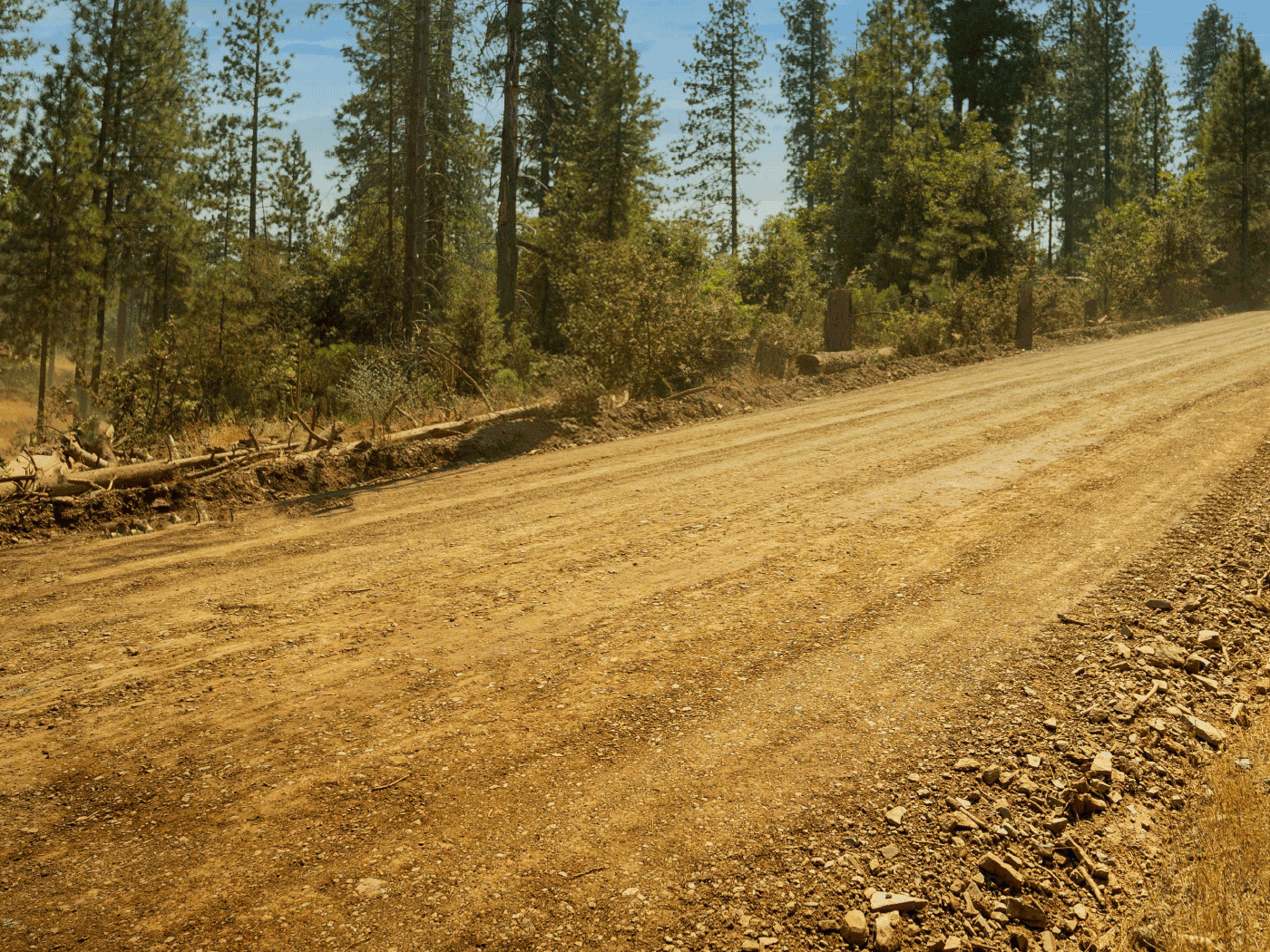 Alternate side view of Mariposa County road showing drainage ditches and road condition with Perma-Zyme treatment