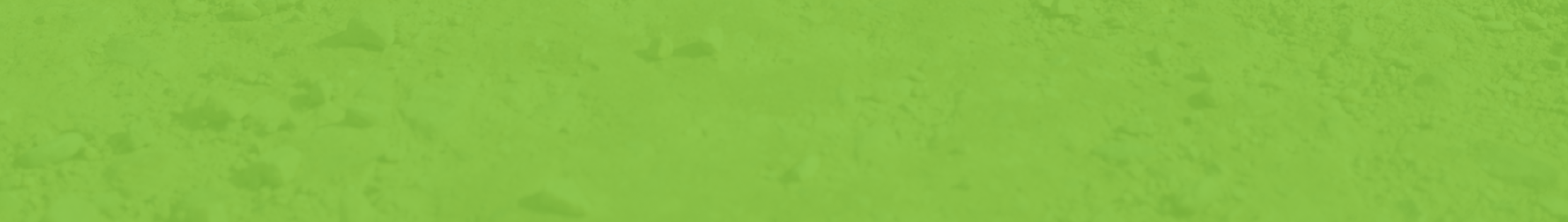 Perma-Zyme BKG Header_V02_Bottom BKG Image@3x