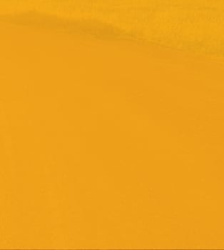 Perma-Zyme BKG Header_V02_Right Orange@3x