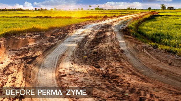 Perma-Zyme BKG Header_V03_Muddy Road@3x