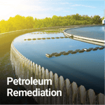 Petra-Zyme-Jan-23-2026-11-16-12-8793-PM