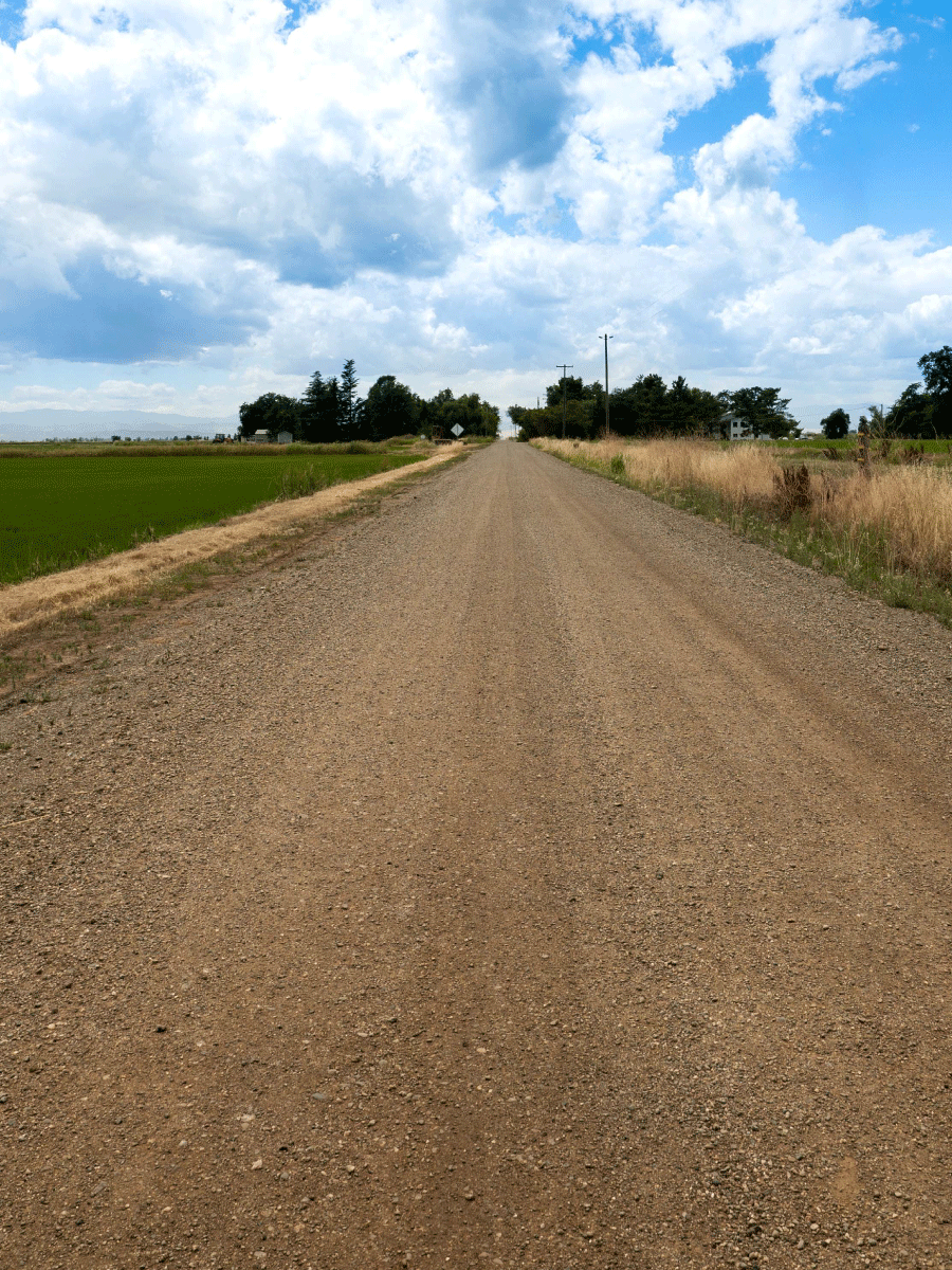 Princeton_Featured-Roads_1