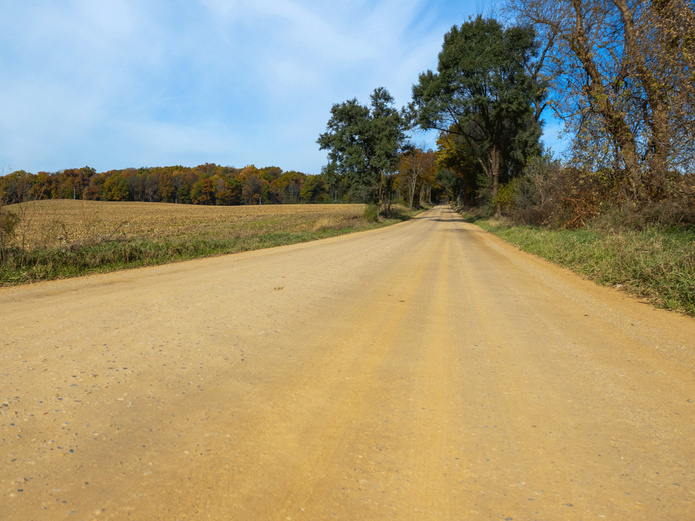 Straight-on view of completed Perma-Zyme stabilized road in Barry County