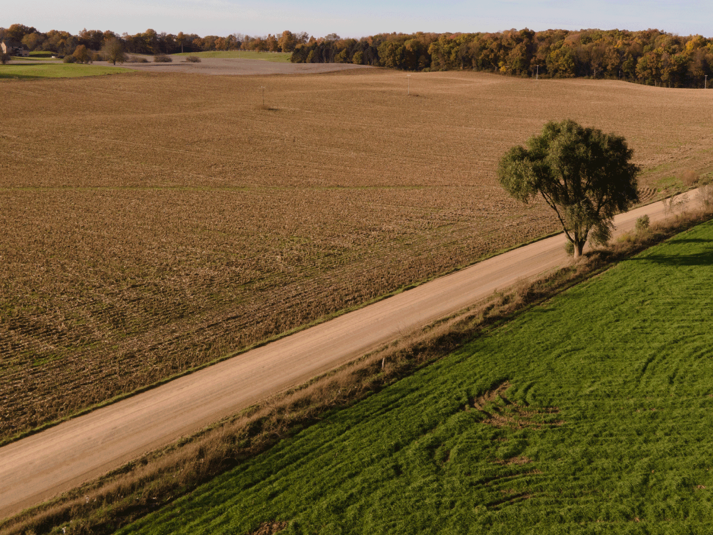 Aerial side view of in Barry County treated with Perma-Zyme