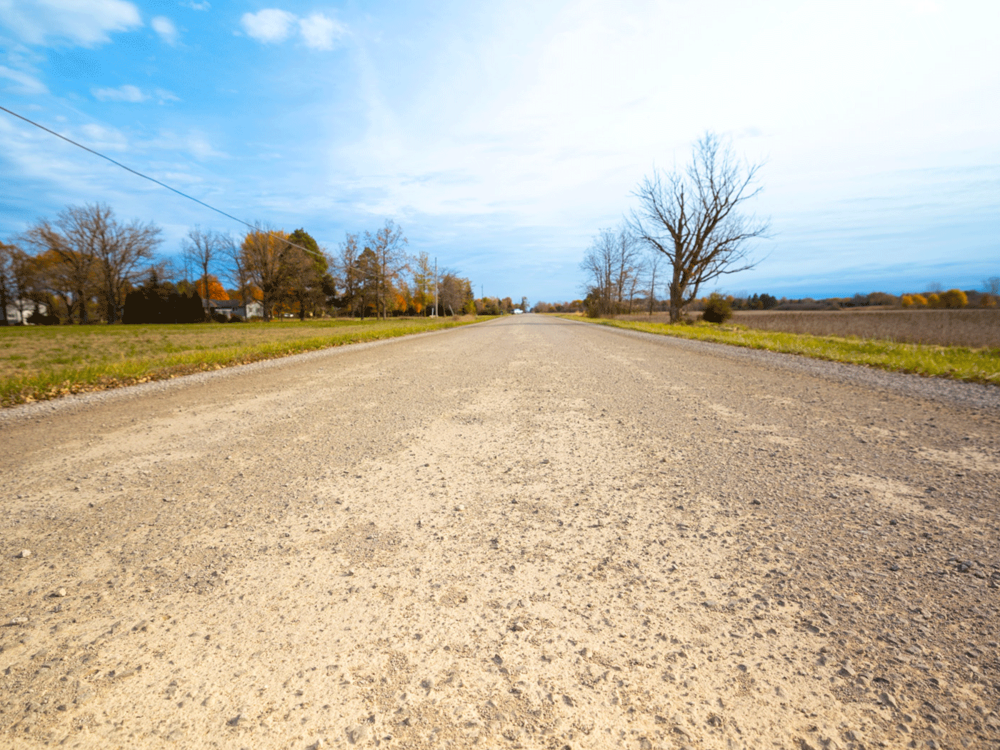 Close-up view of Carpenter Road in Flushing treated with Perma-Zyme