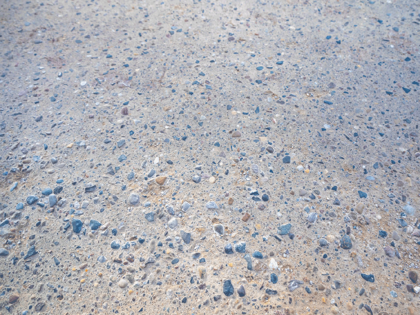 Extreme close-up view of roadway in Barry County treated with Perma-Zyme