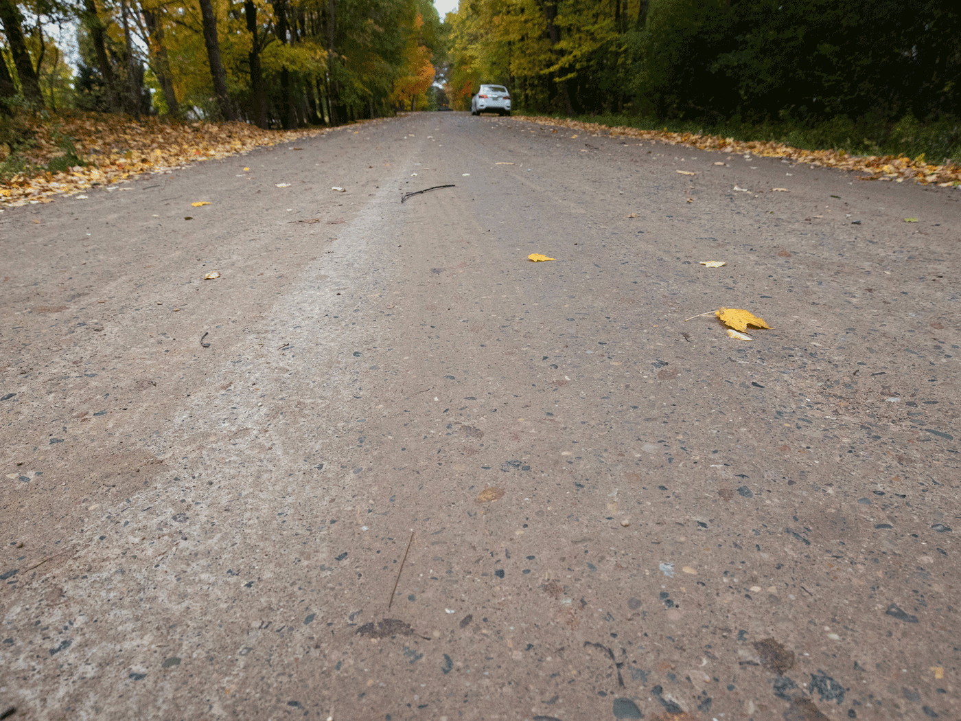 Close-up view of Atlas Township road treated with Perma-Zyme