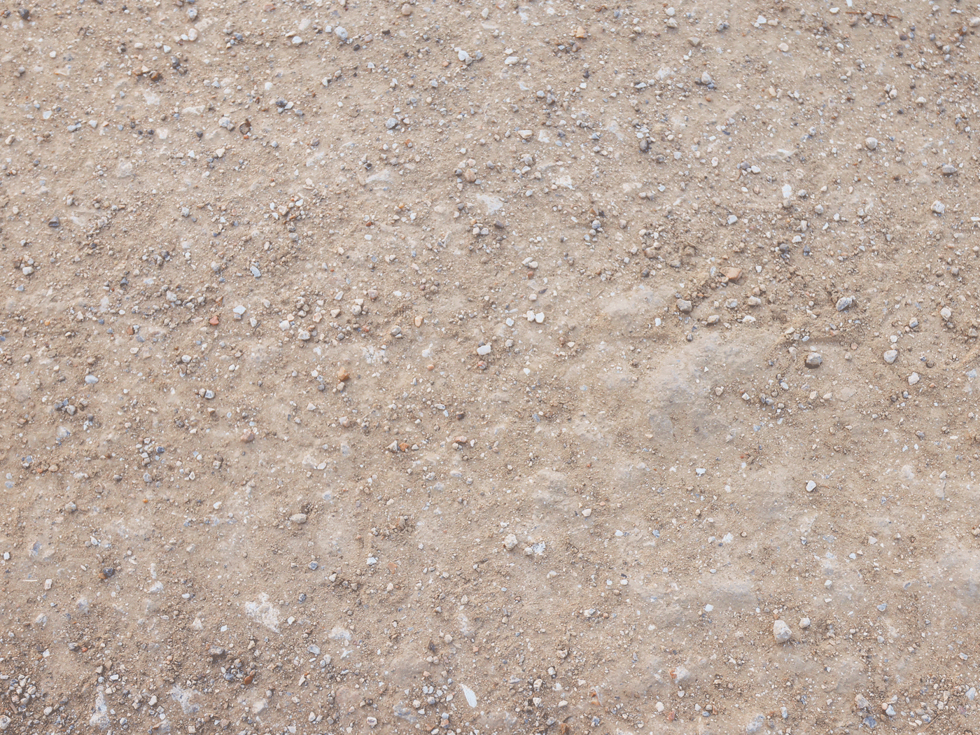 Extreme close-up view of Devers road treated with Perma-Zyme