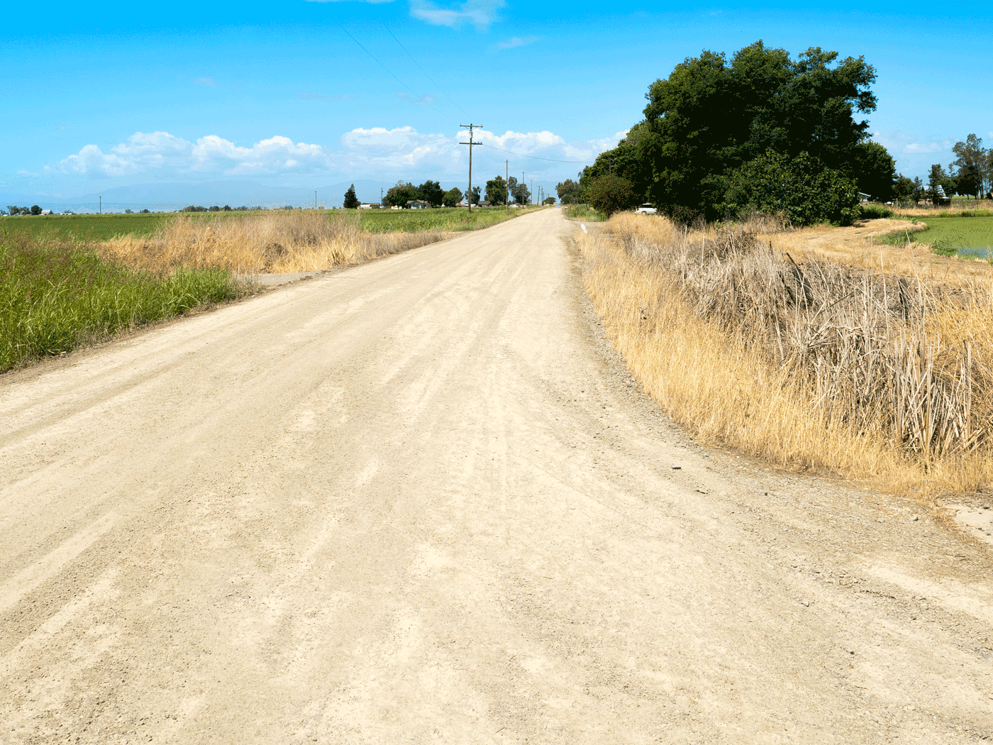 Alternate straight-on view of Glenn County road treated with Perma-Zyme