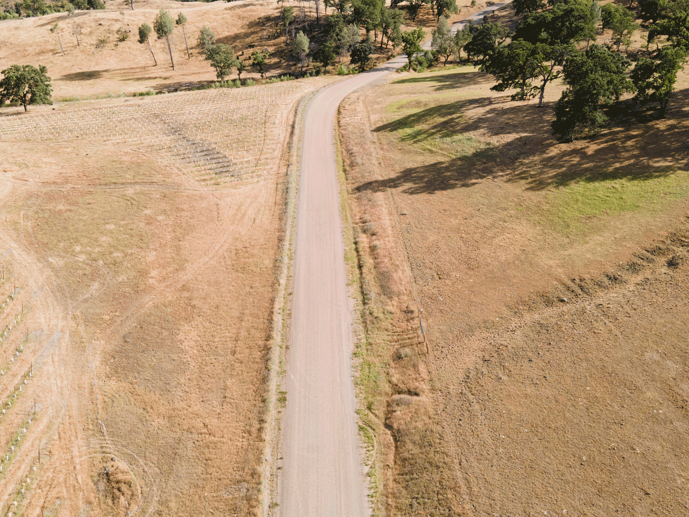Overhead view of Lake County road treated with Perma-Zyme