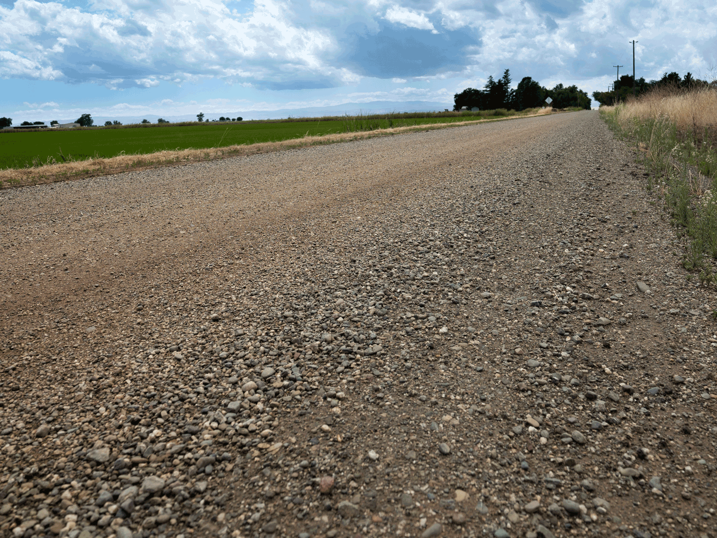 Close-up view of Princeton road treated with Perma-Zyme