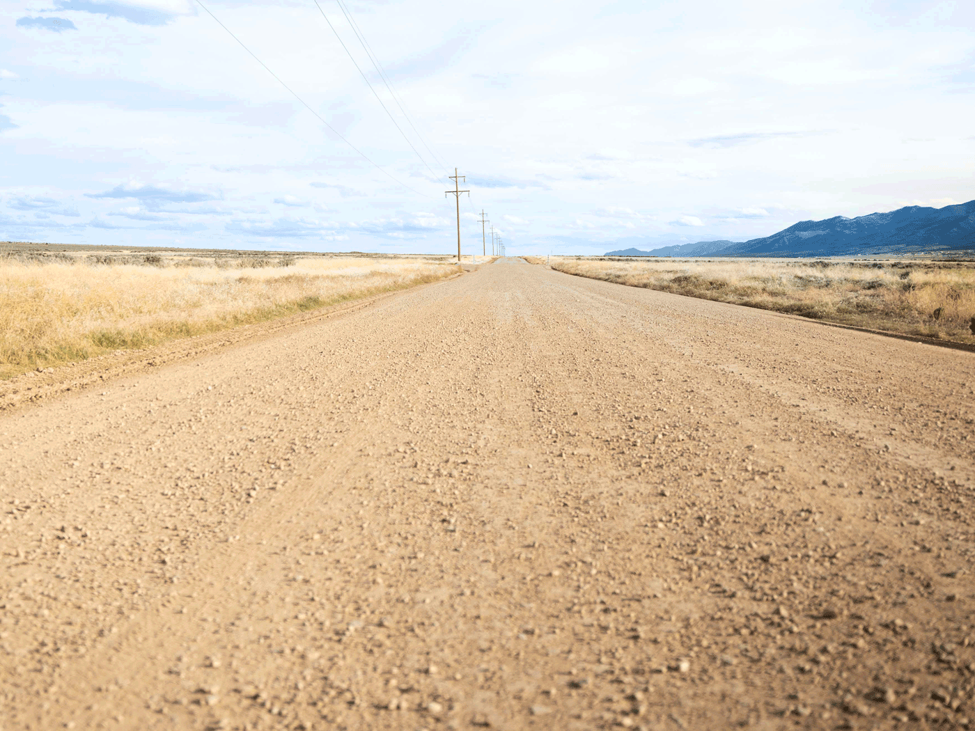 Close up view of White Pine County road treated with Perma-Zyme