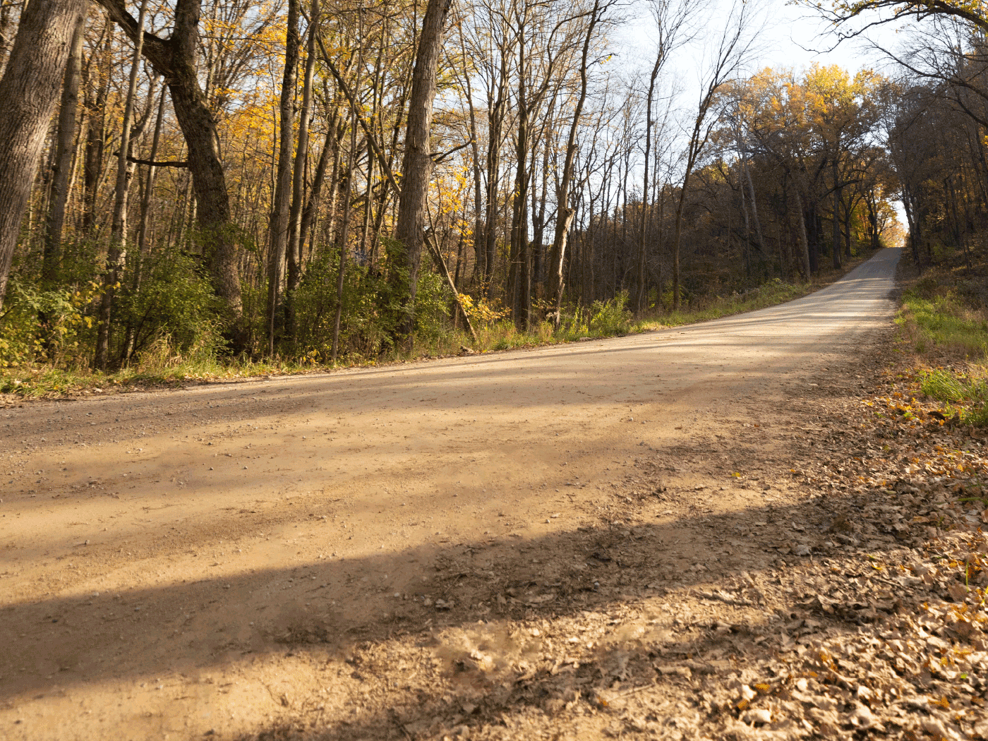 Side view of completed Perma-Zyme stabilized road in Barry County