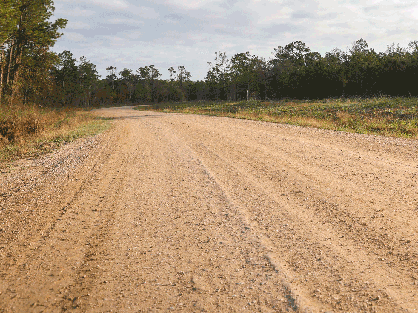 Alternate straight-on view of completed Perma-Zyme stabilized road in Devers