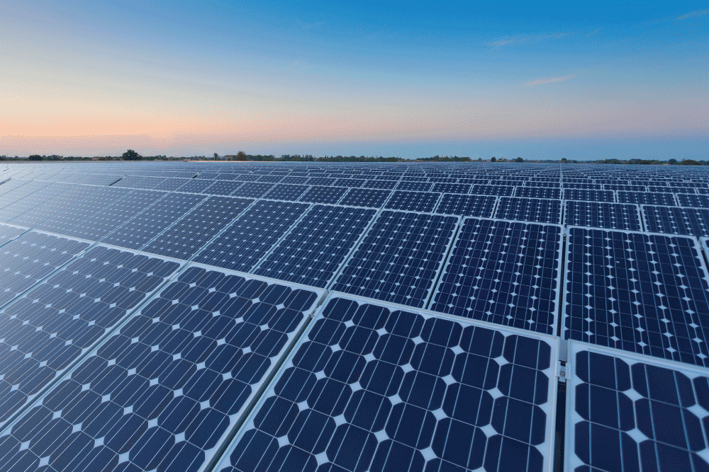 Solar field at sunrise