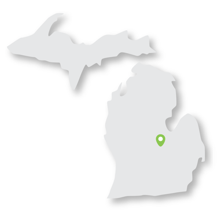 State Graphic MI_Montrose