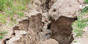 Image of an eroded rill