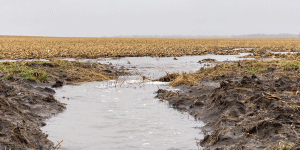 Image of sheet erosion in a farm field