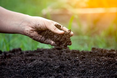 soil_conditioning_hand