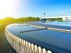 trauth_dairy_waste_effluent_case_study
