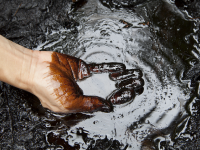 Case-Study-Petroleum-Remediation