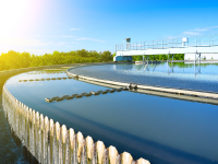 Case-Study-Trauth-Dairy