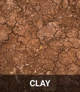 Clay