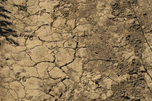 Expansive Soil