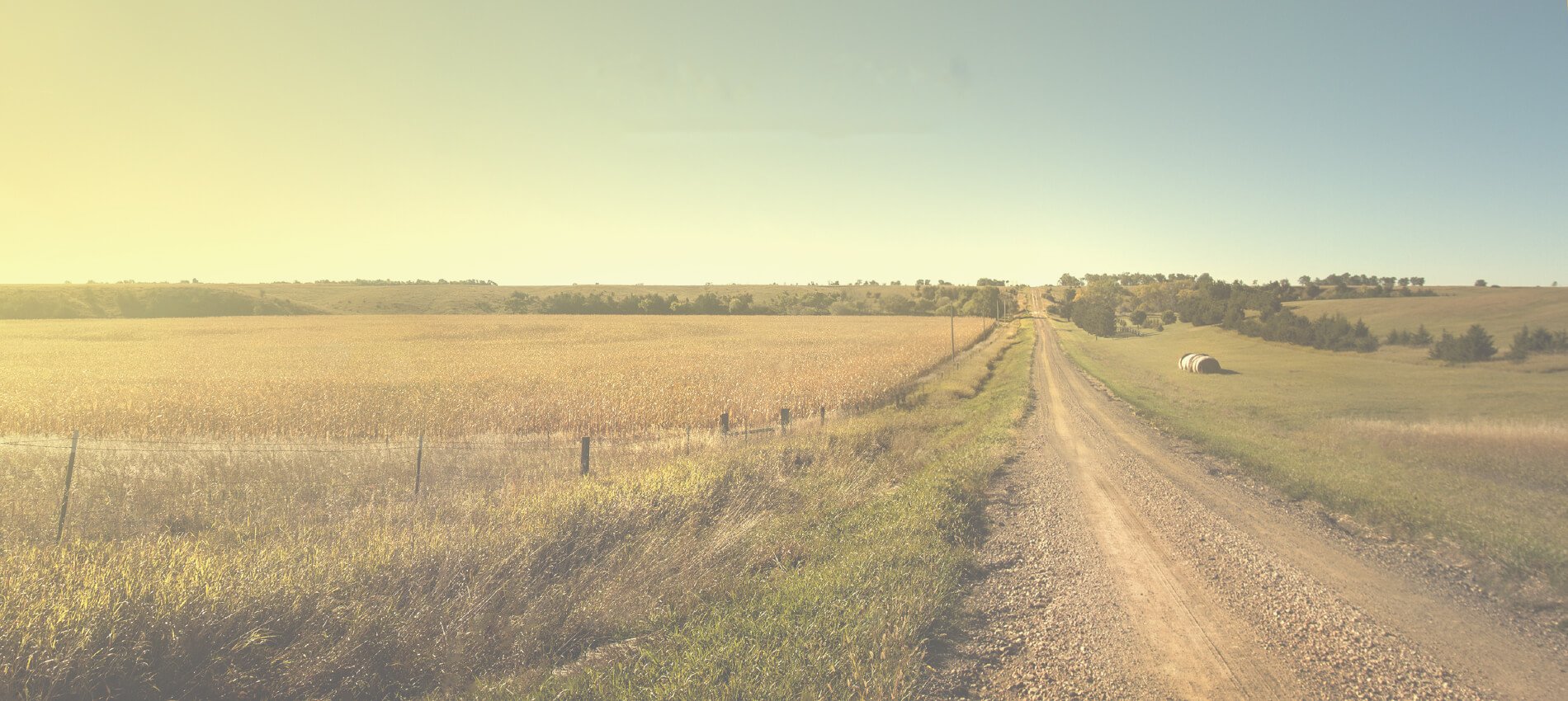 Perma-Zyme - Soil Stabilization Solution