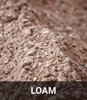 Loam-2
