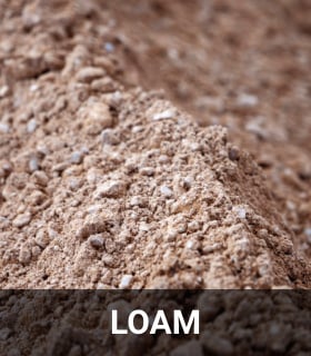 Loam