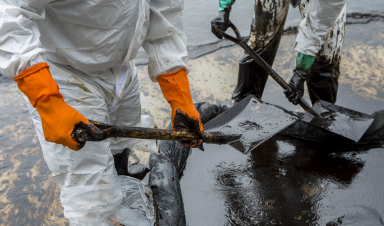 Petroleum-Remediation