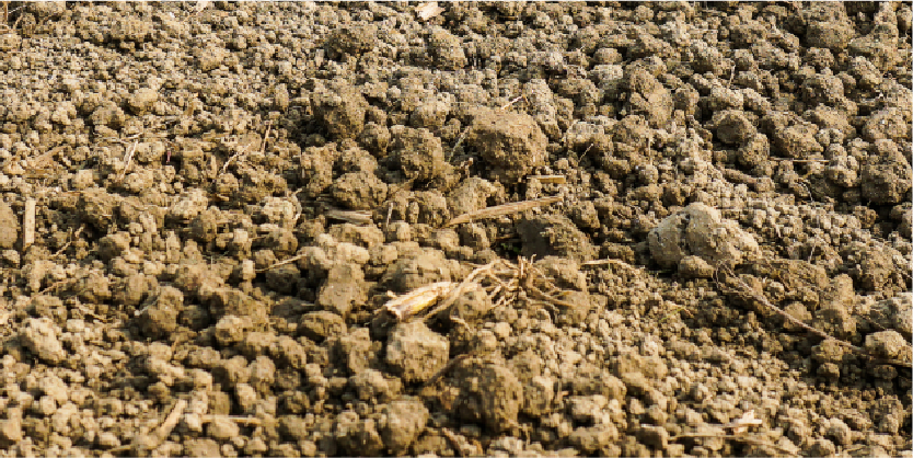 Silt 2 Header