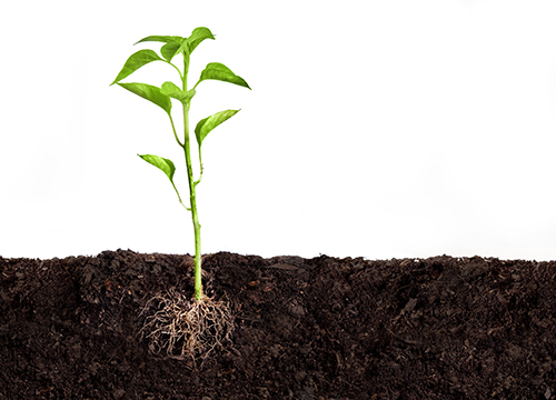 soil_conditioning_plant